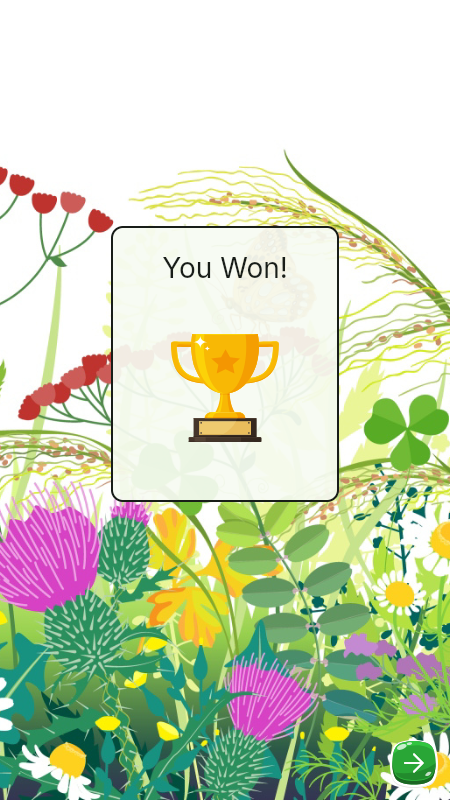 The victory screen showing 'You Won!' with a trophy on a floral background