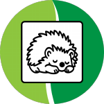 Sleepy Hedgehogs